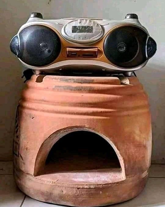 Tes mata kamu dan bakal senyum-senyum sendiri jika melihat dereta foto ini